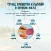 SECRET Premium Тунец с креветкой и папайей в желе 170 г