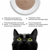 SECRET Крем-суп для кошек Лосось 6 шт х 15 г