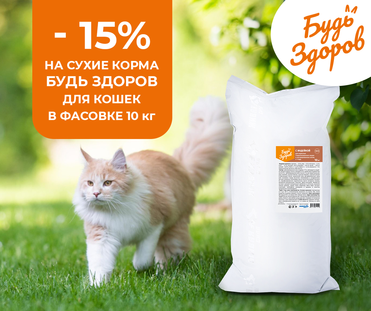 Скидка 15% на корм Будь Здоров для кошек в фасовке 10 кг!