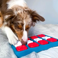 Игра-головоломка для собак Кирпичик, 2 (средний) уровень сложности, Nina Ottosson Brick